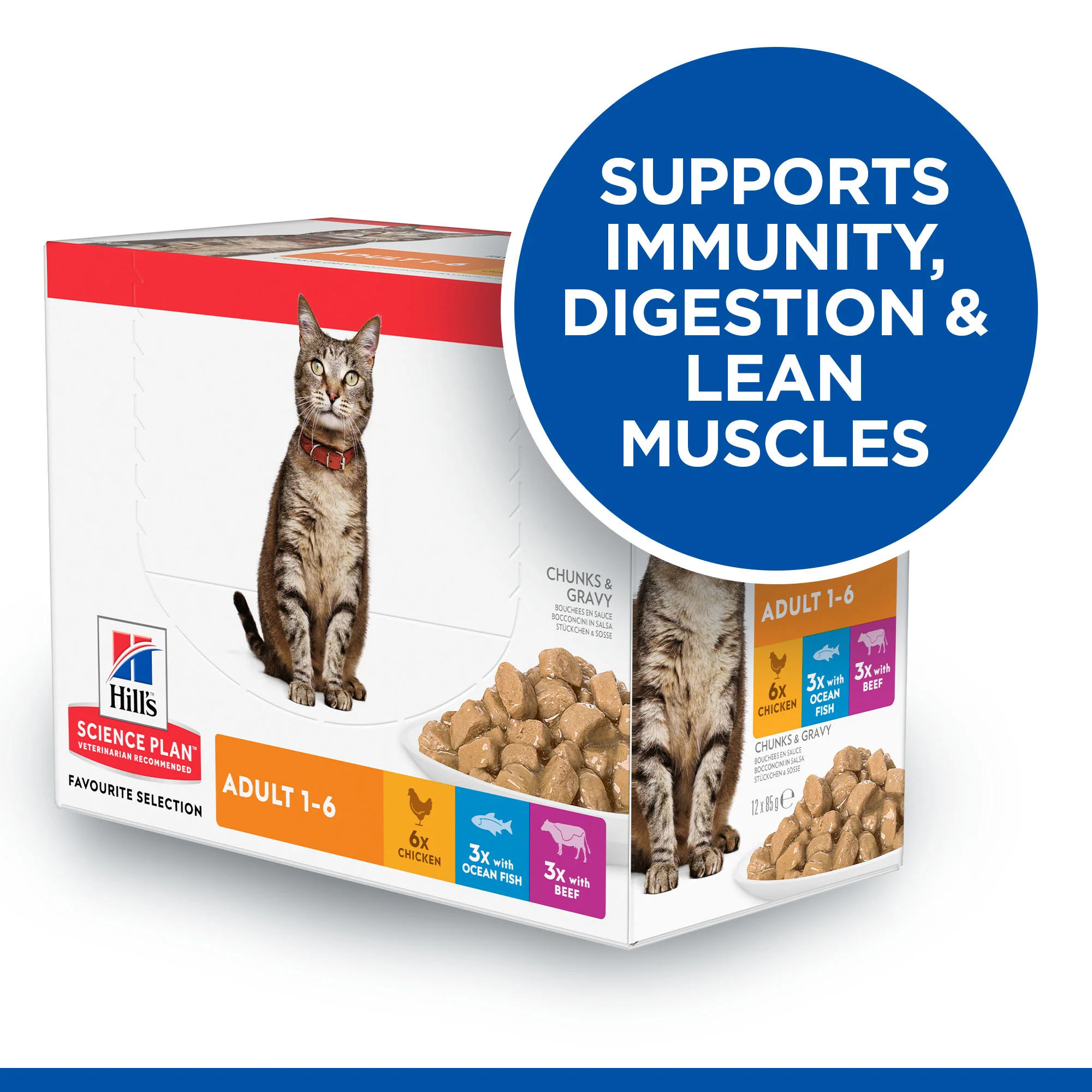 Hills Science Plan Feline Adult 1-6 Favourite Selection Pouches - Image 5