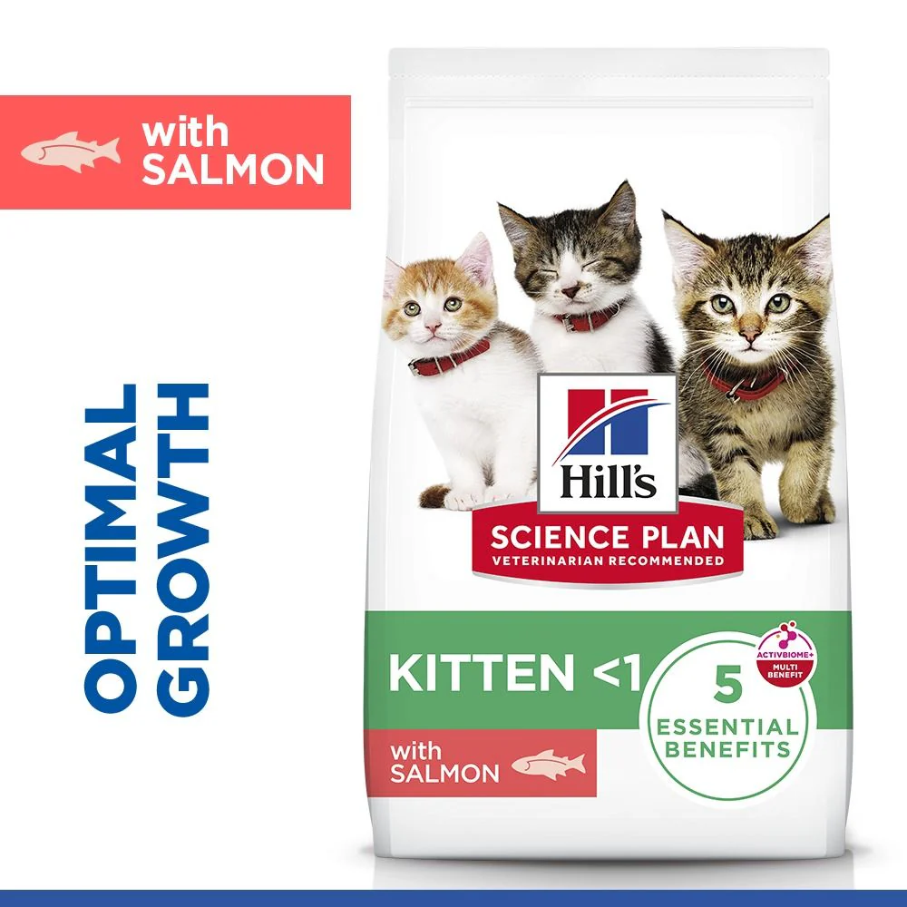 Hill's Science Plan Kitten Dry Cat Food with Salmon - Image 2