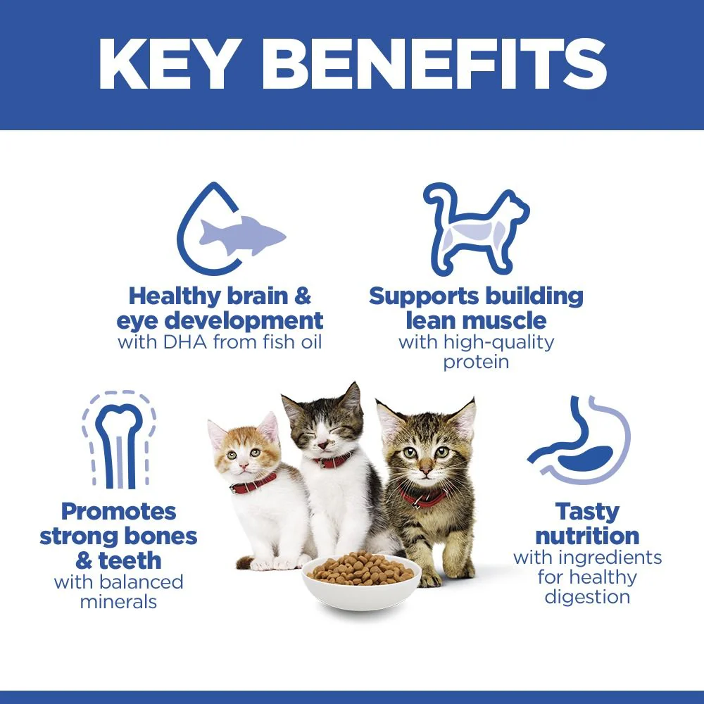 Hill's Science Plan Kitten Dry Cat Food with Salmon - Image 3