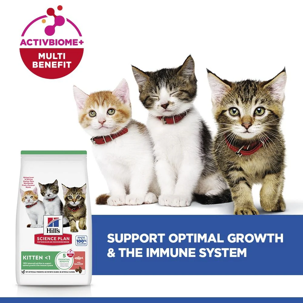 Hill's Science Plan Kitten Dry Cat Food with Salmon - Image 4