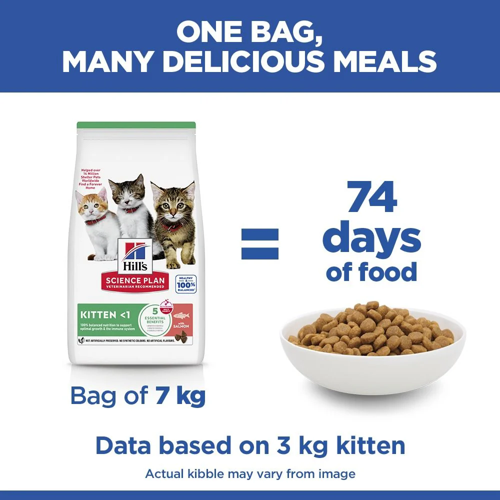 Hill's Science Plan Kitten Dry Cat Food with Salmon - Image 5