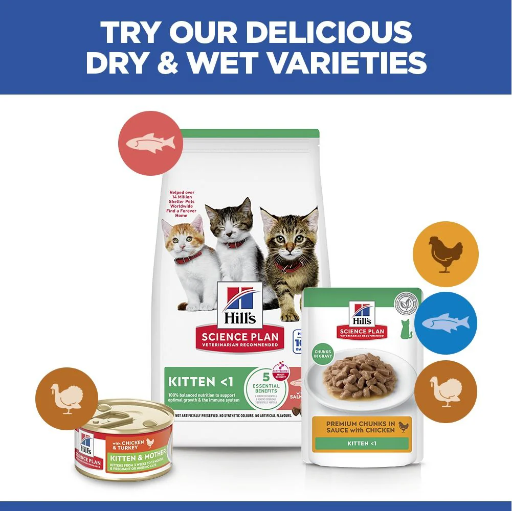 Hill's Science Plan Kitten Dry Cat Food with Salmon - Image 6
