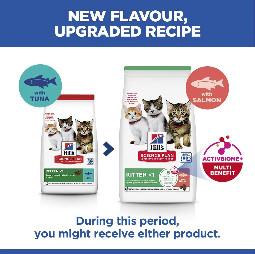 Hill's Science Plan Kitten Dry Cat Food with Salmon - Image 9