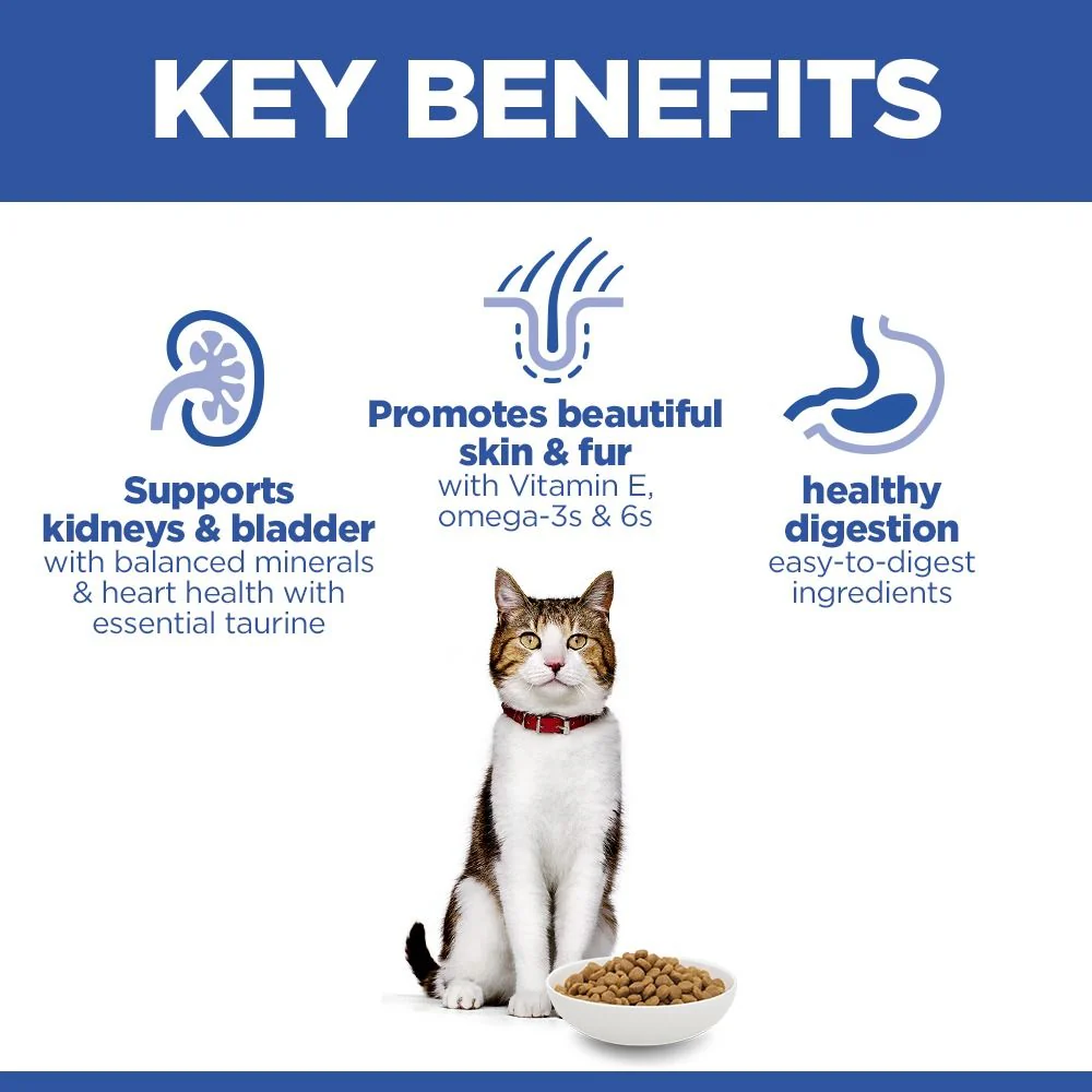 Hill's Science Plan Mature Adult Dry Cat Food with Salmon - Image 3