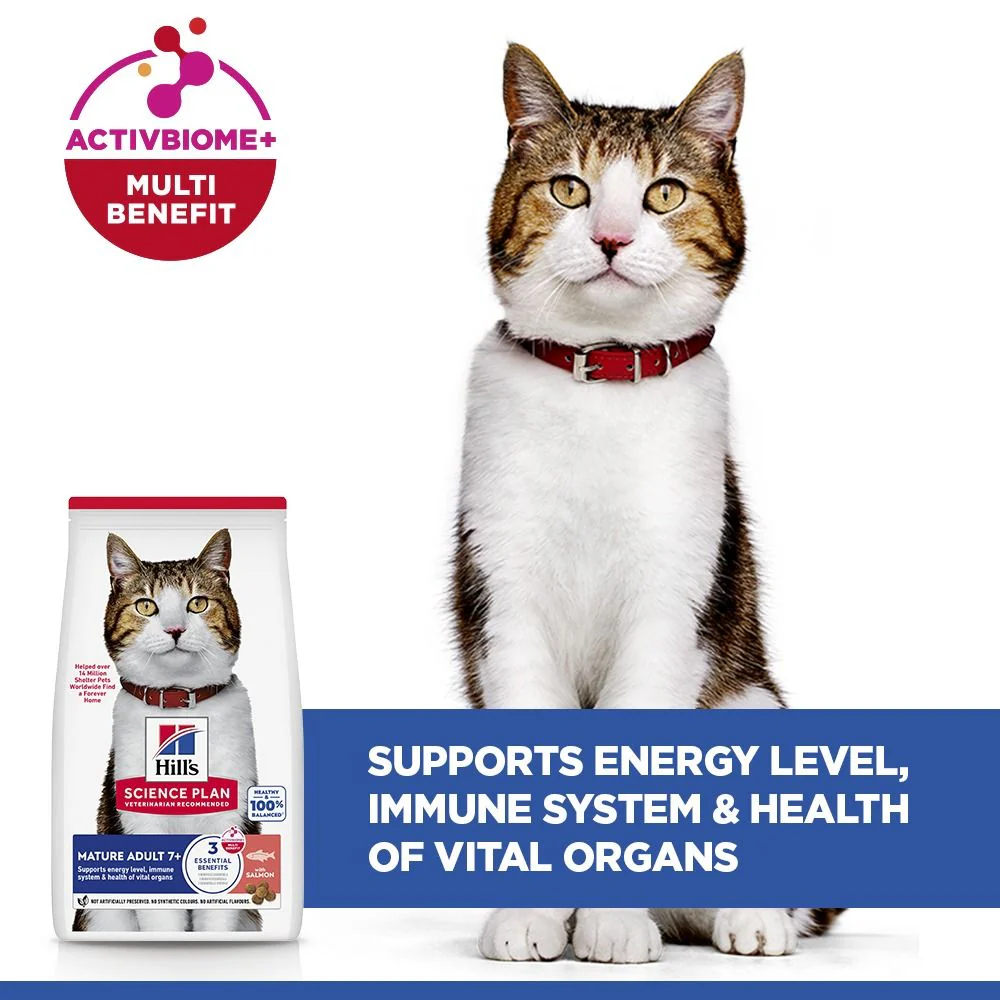 Hill's Science Plan Mature Adult Dry Cat Food with Salmon - Image 4