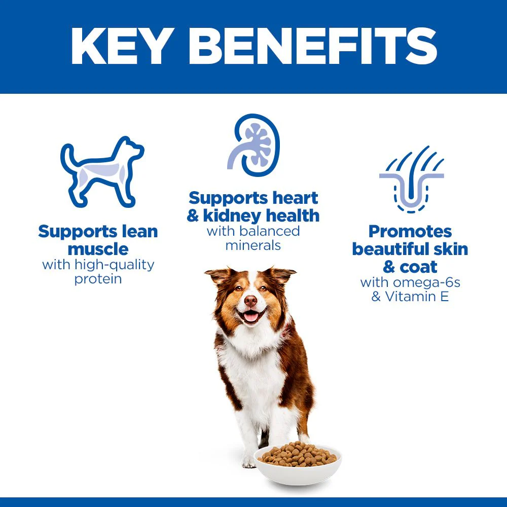 Hill's Science Plan Mature Adult Medium Breed Dry Dog Food with Chicken - Image 3