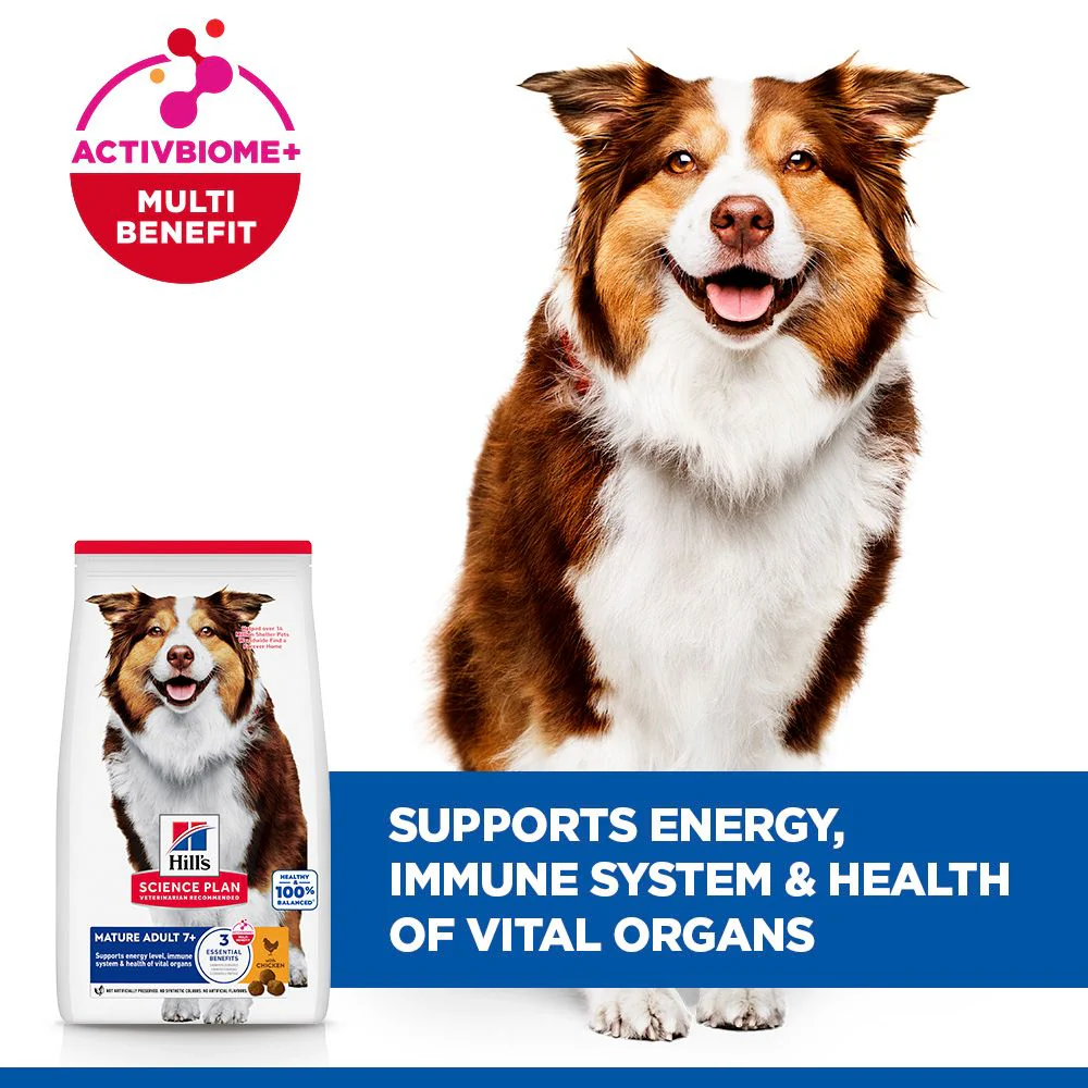 Hill's Science Plan Mature Adult Medium Breed Dry Dog Food with Chicken - Image 4