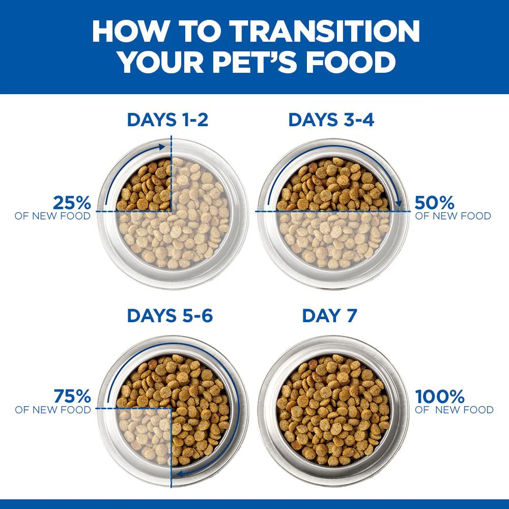 Hill's Science Plan Mature Adult Small & Mini Breed Dry Dog Food with Chicken - Image 10
