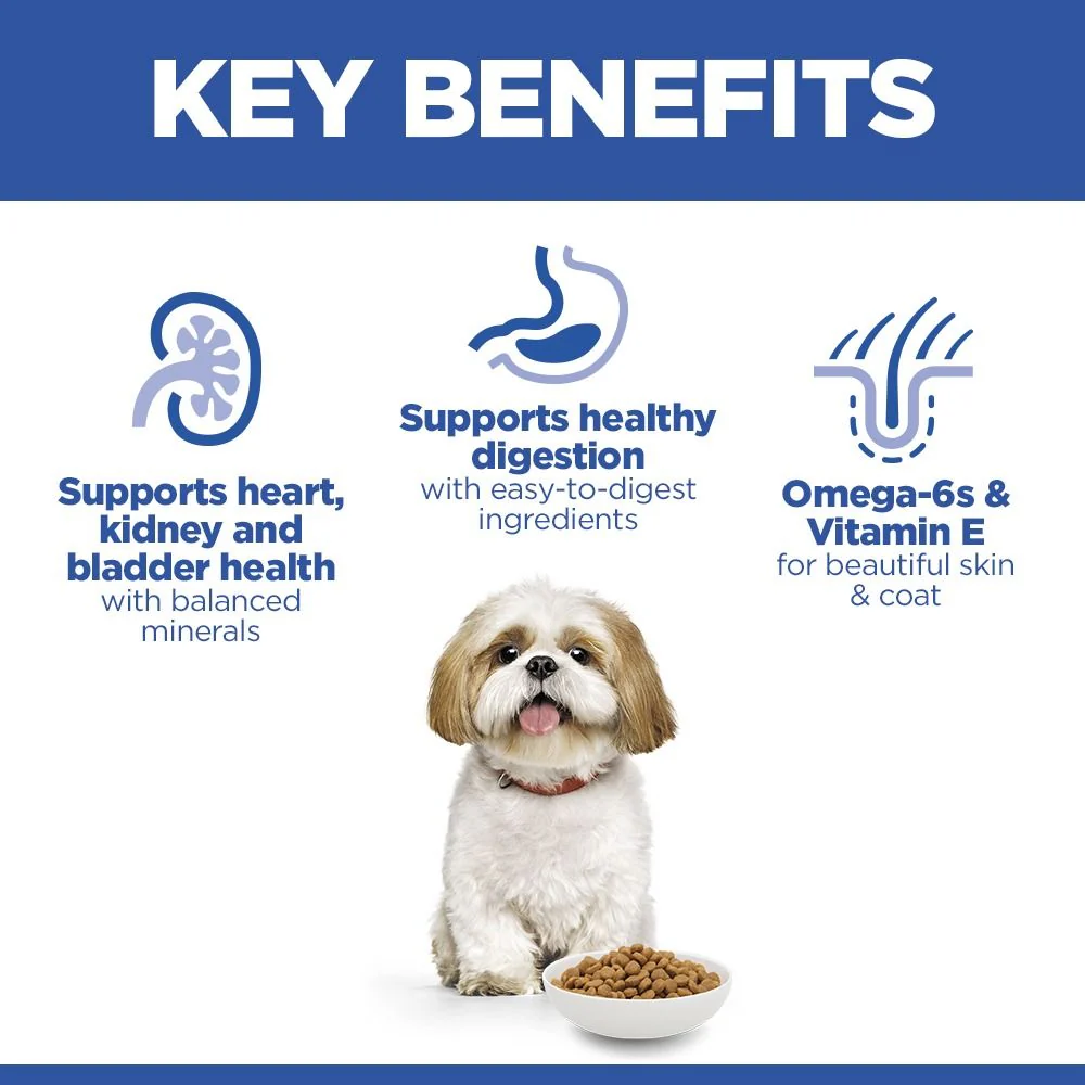 Hill's Science Plan Mature Adult Small & Mini Breed Dry Dog Food with Chicken - Image 3