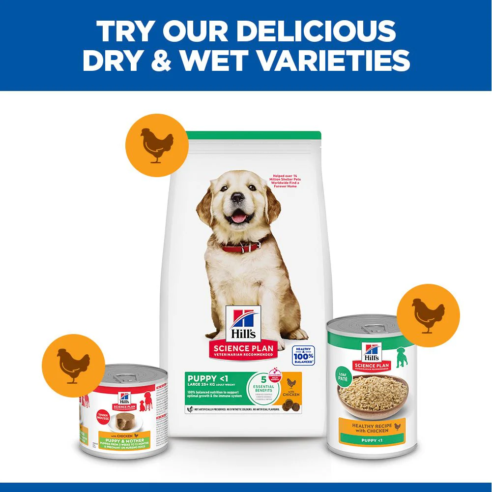 Hill's Science Plan Puppy Large Breed Dry Dog Food with Chicken - Image 6