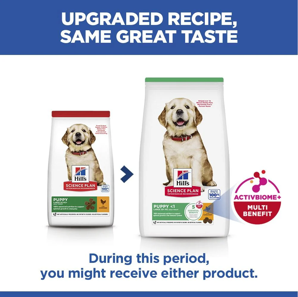Hill's Science Plan Puppy Large Breed Dry Dog Food with Chicken - Image 9