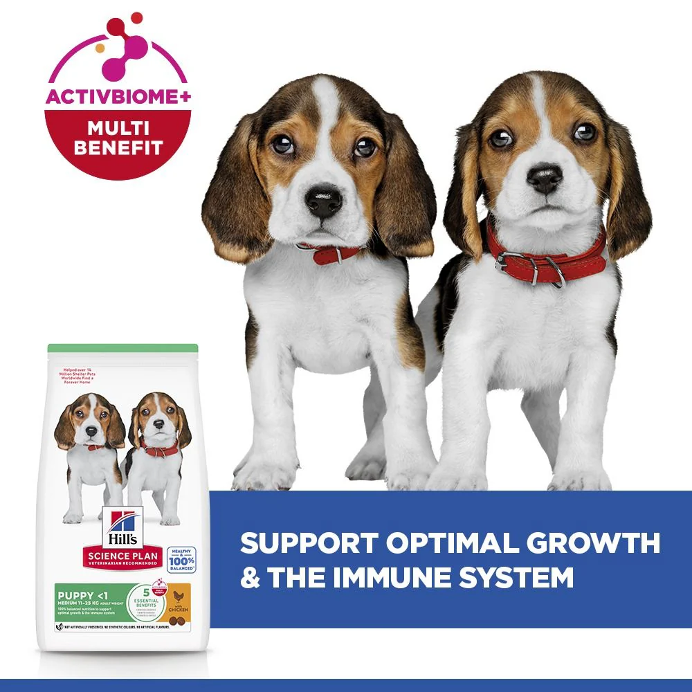 Hill's Science Plan Puppy Medium Breed Dry Dog Food with Chicken - Image 4