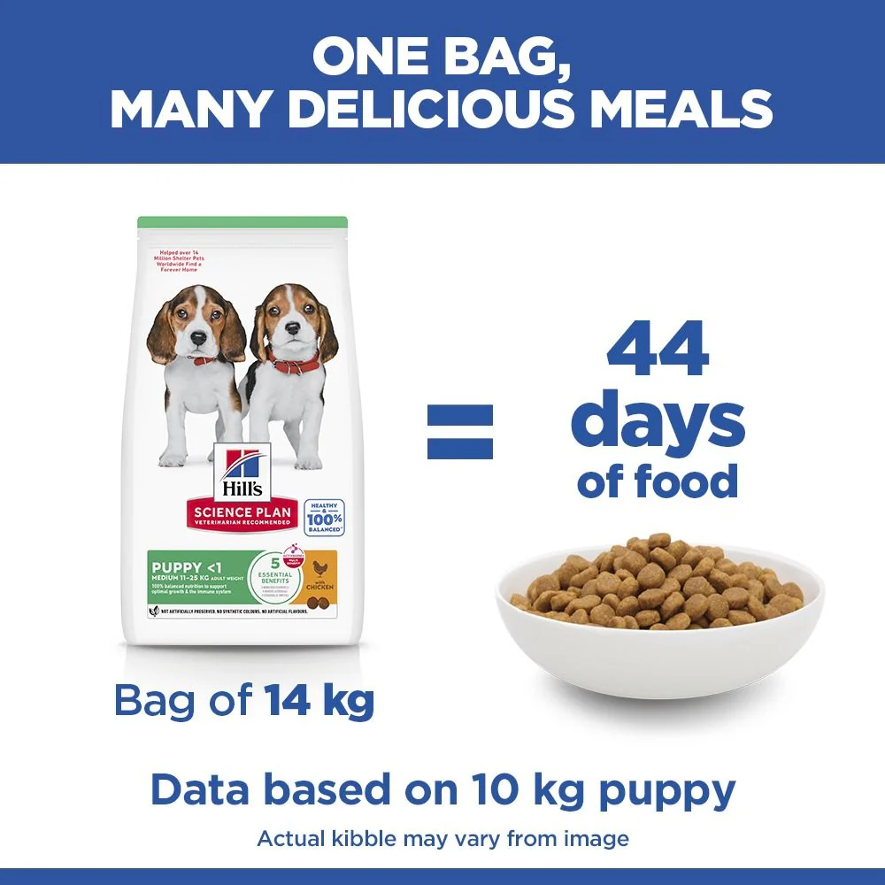 Hill's Science Plan Puppy Medium Breed Dry Dog Food with Chicken - Image 5