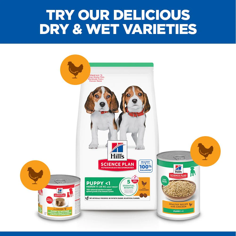 Hill's Science Plan Puppy Medium Breed Dry Dog Food with Chicken - Image 6