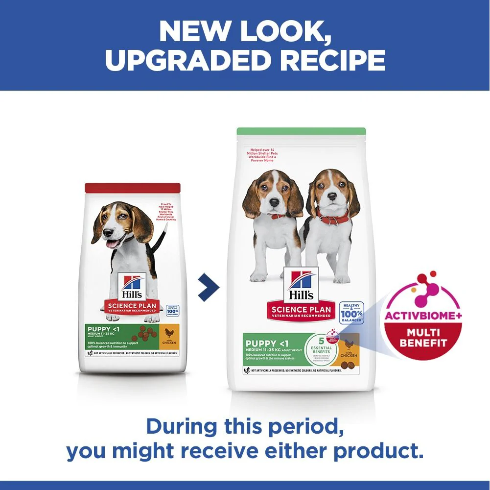 Hill's Science Plan Puppy Medium Breed Dry Dog Food with Chicken - Image 9