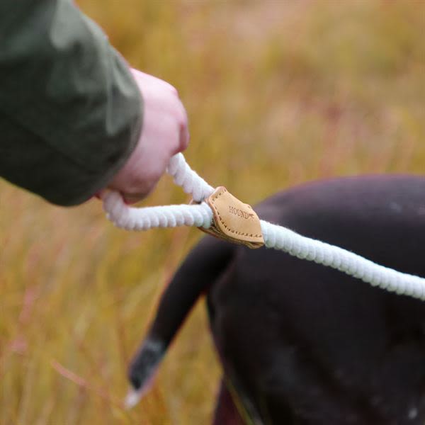 Hound Real Leather Braided Dog Lead - Image 4