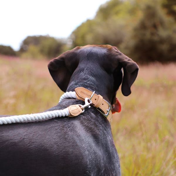 Hound Real Leather Braided Dog Lead - Image 5