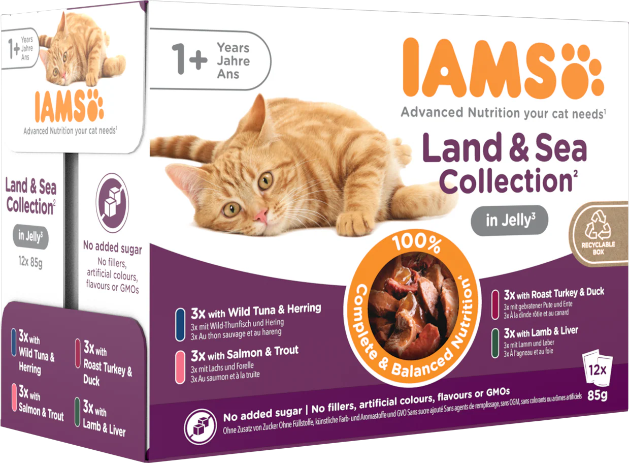 Iams Delights Adult Land & Sea Collection in Jelly Multipack - Image 3