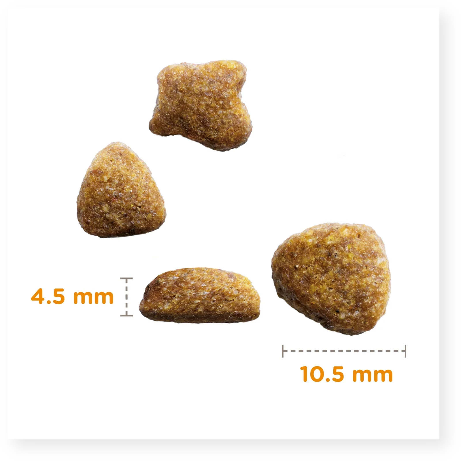 IAMS for Vitality Adult Cat Food with Ocean fish - Image 3
