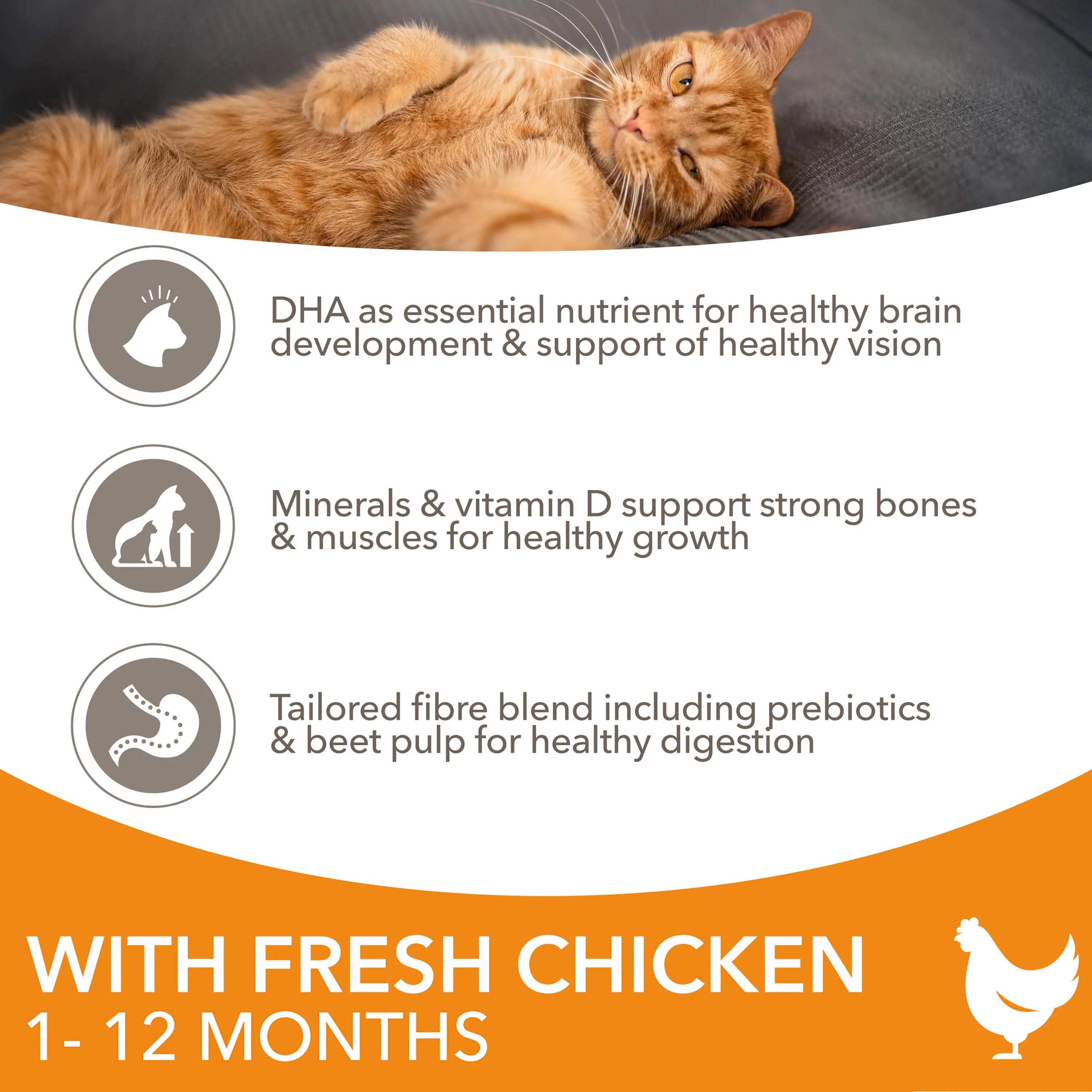 IAMS for Vitality Kitten Food with Chicken - Image 6