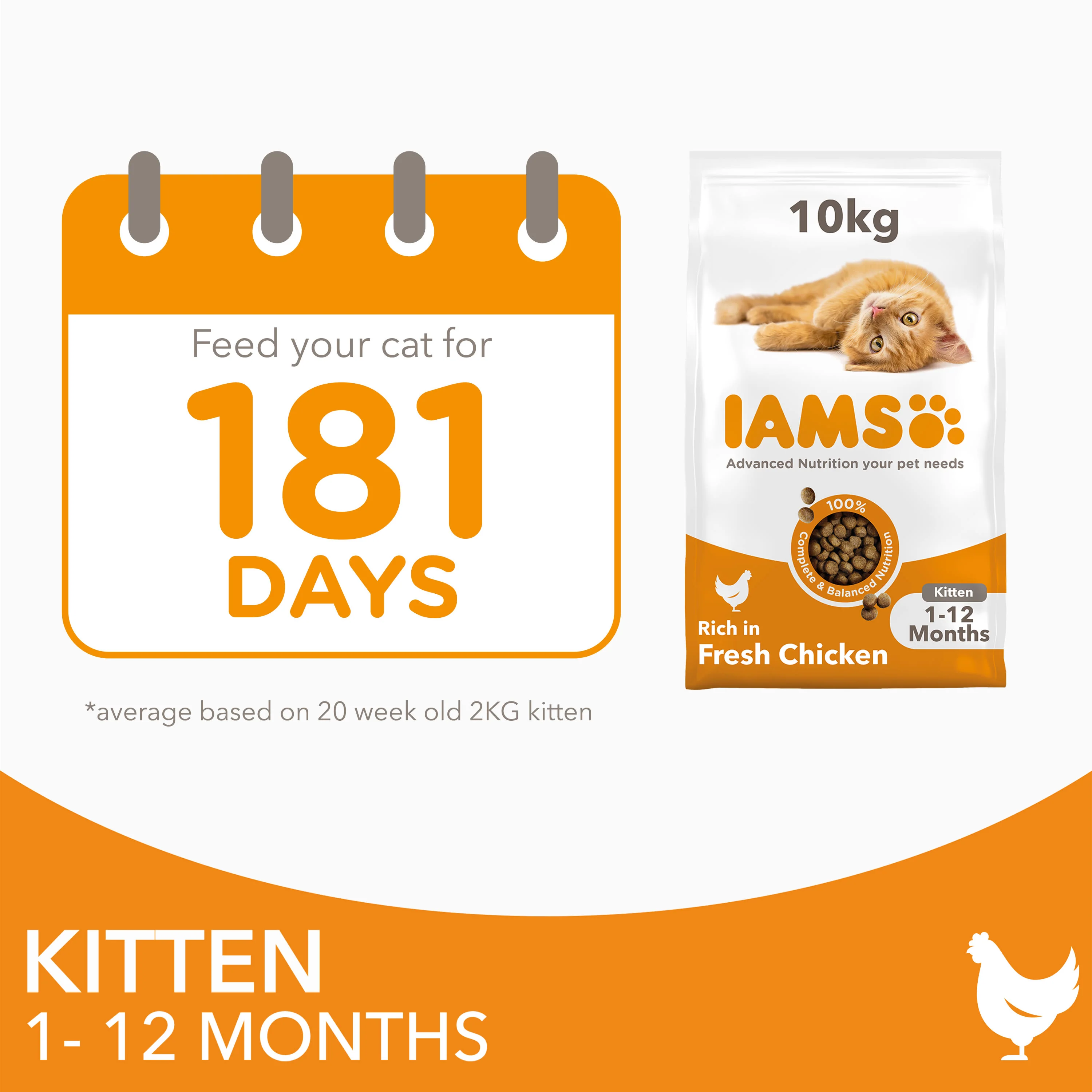 IAMS Kitten & Junior - Image 4
