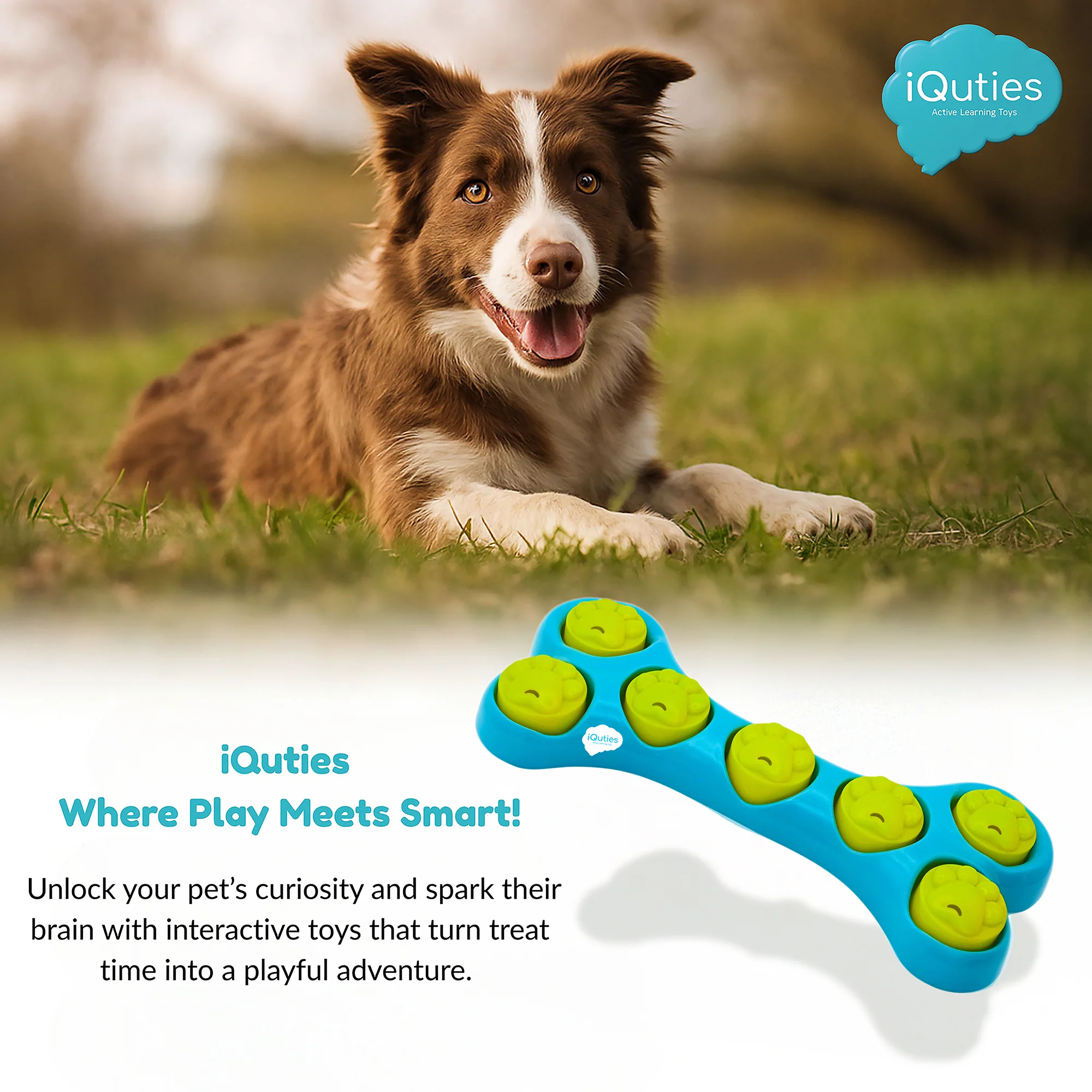 iQuties Bone Hide Interactive Puzzle Treat Dispenser Dog Toy - Image 6