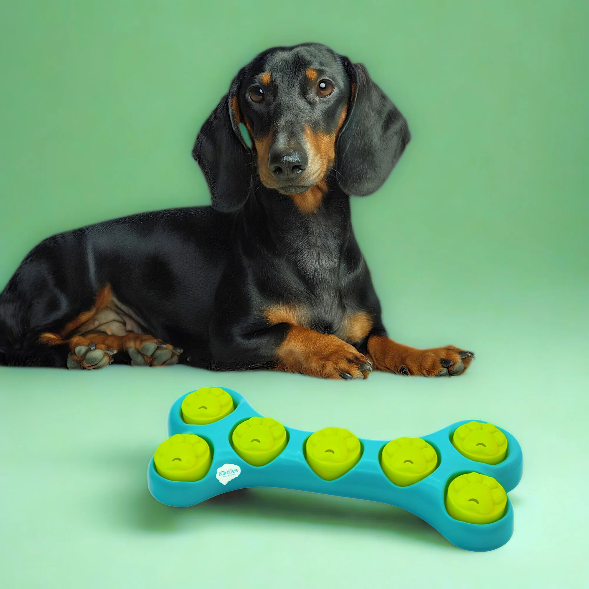 iQuties Bone Hide Interactive Puzzle Treat Dispenser Dog Toy - Image 7