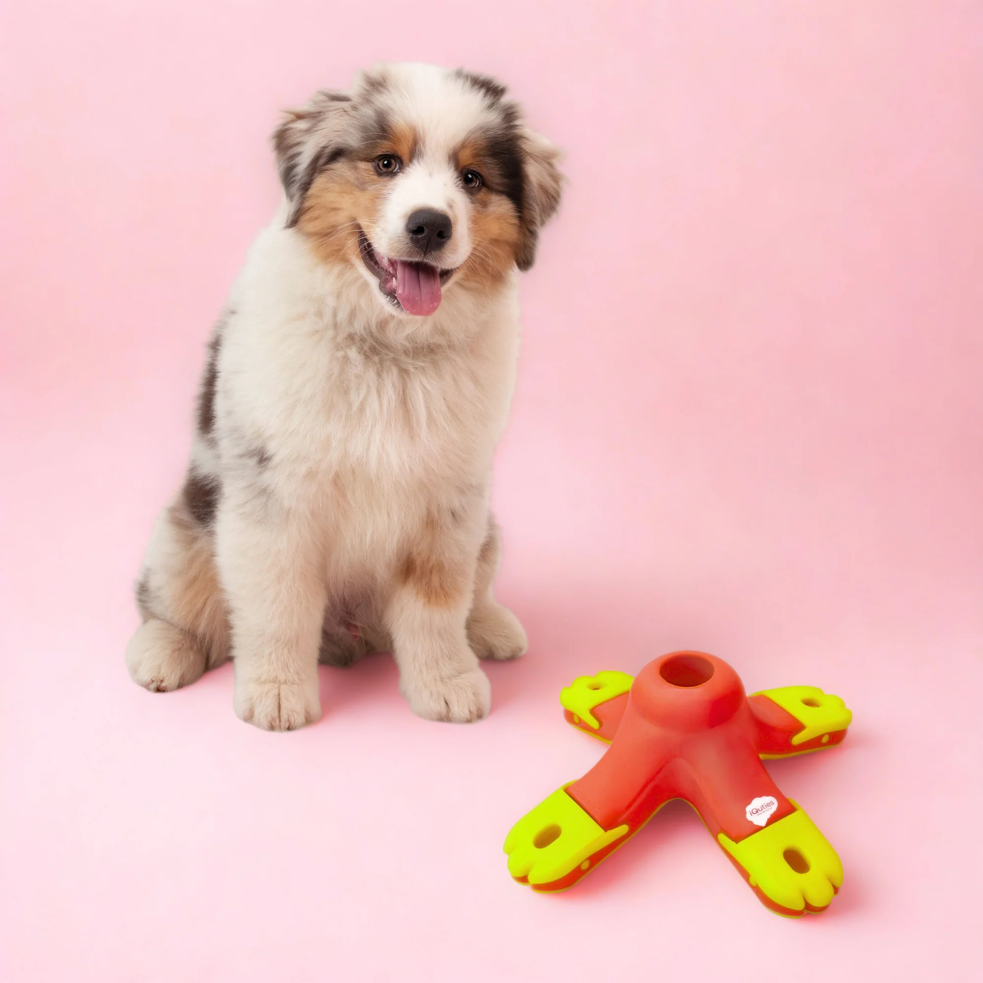 iQuties Kibble Drop Interactive Treat Dispenser Dog Toy - Image 5