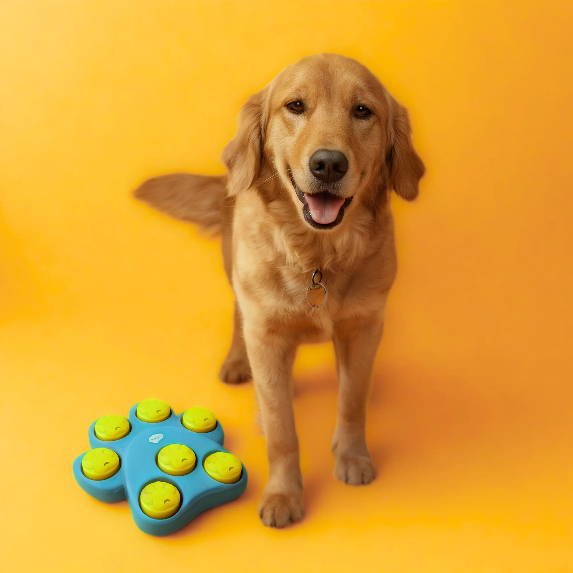 iQuties Paw Hide Interactive Treat Dispenser Dog Toy - Image 5