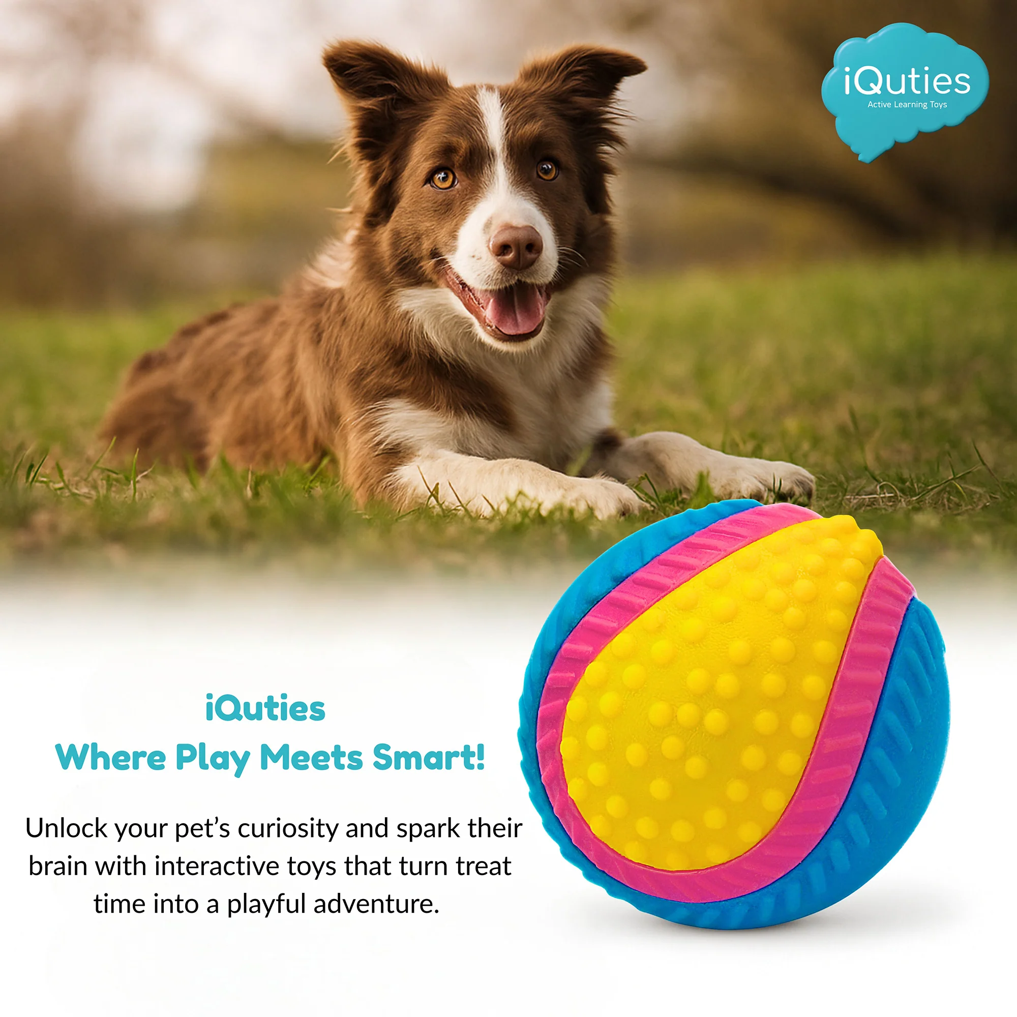 iQuties Sensory Interactive Dog Toy - Image 6