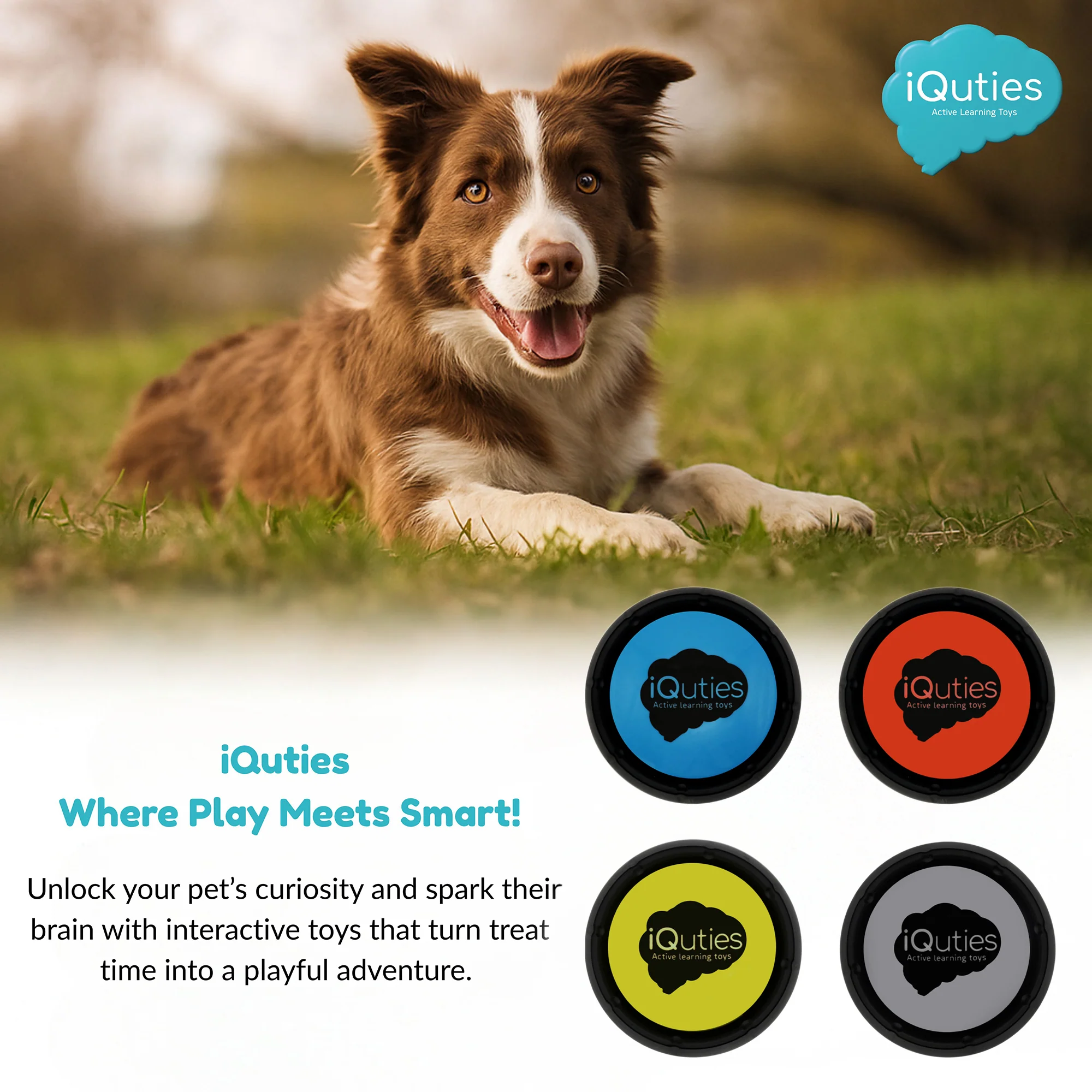 iQuties Training Buzzer Interactive Puzzle Dog Toy - Image 5