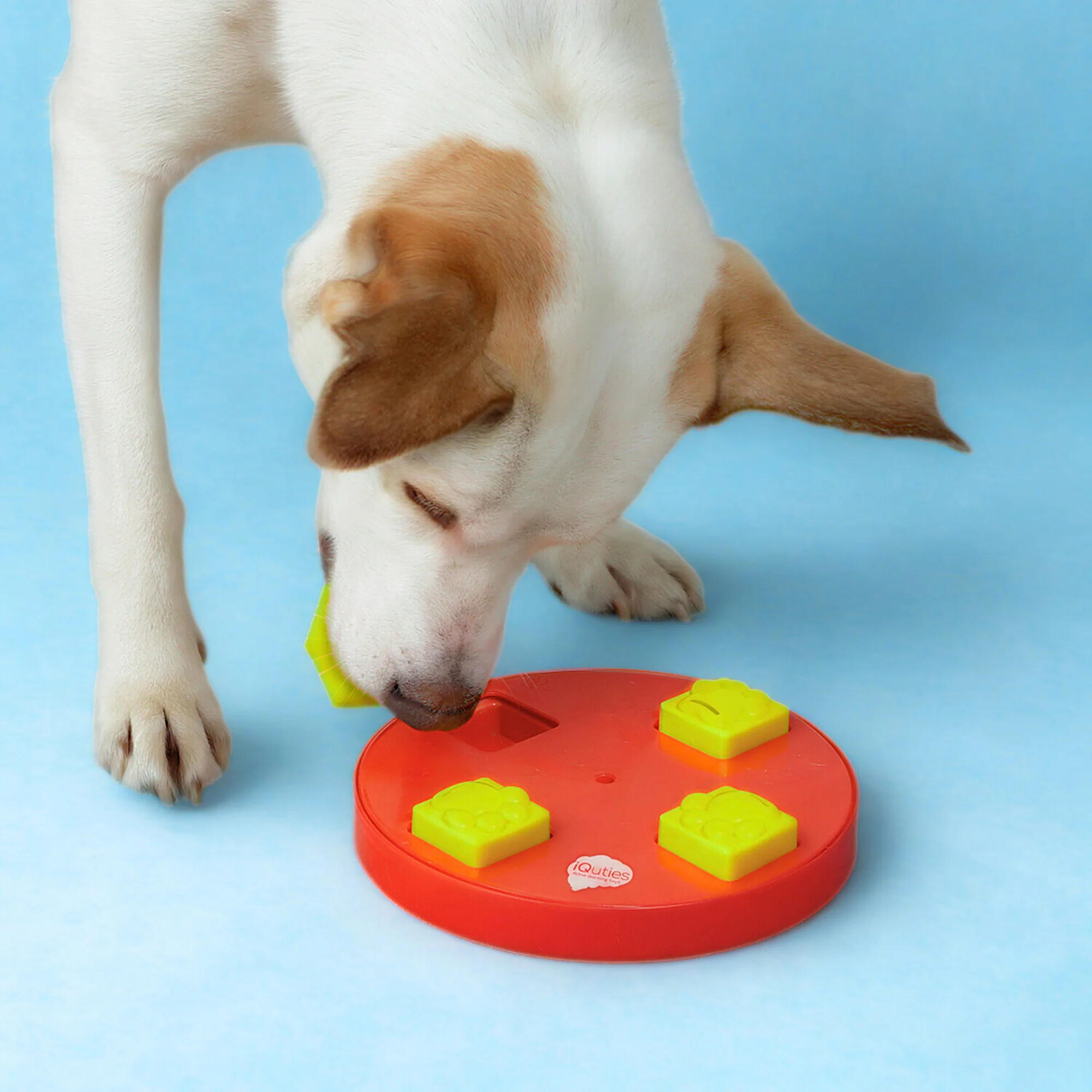 iQuties Wheel Interactive Puzzle Treat Dispenser Dog Toy - Image 4
