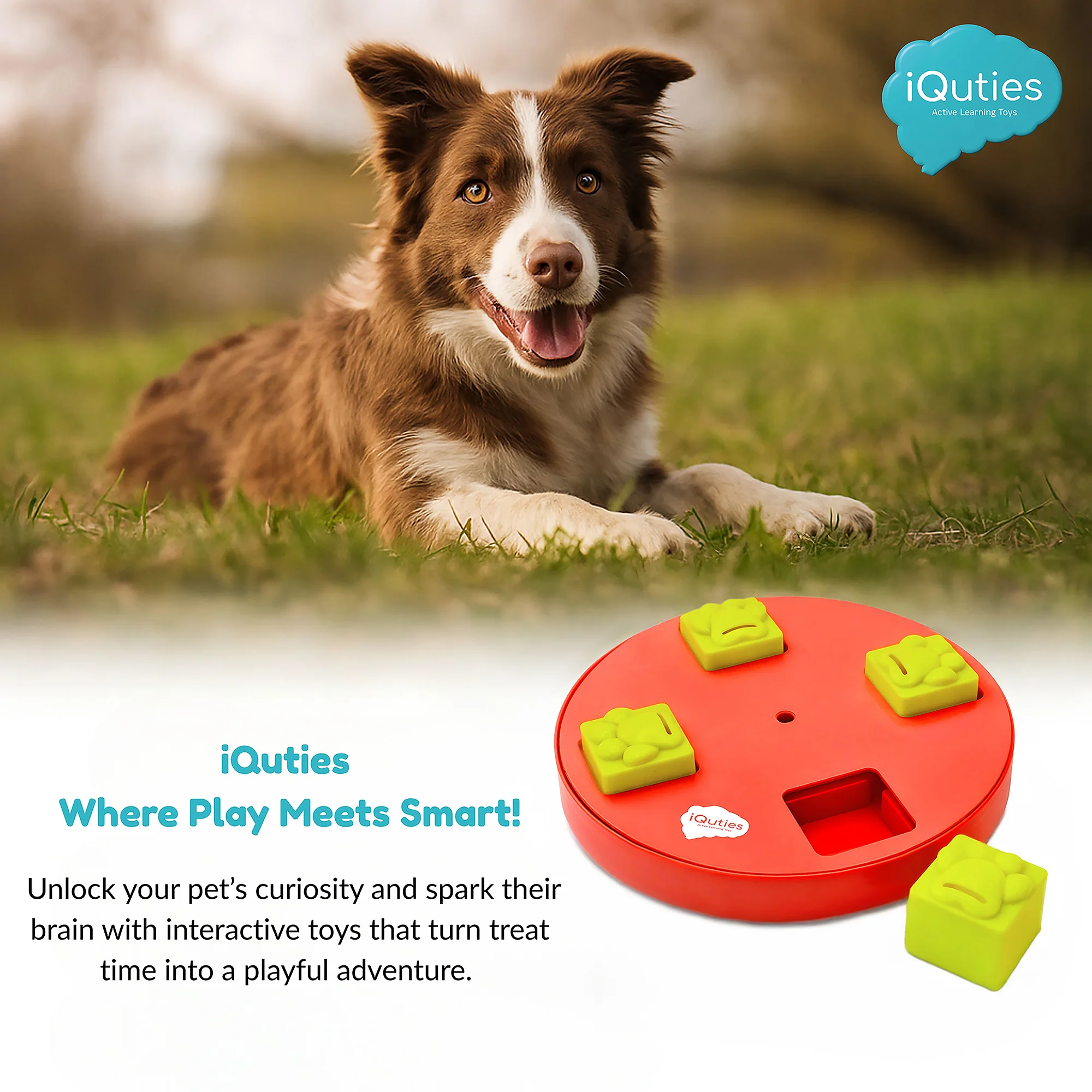 iQuties Wheel Interactive Puzzle Treat Dispenser Dog Toy - Image 5