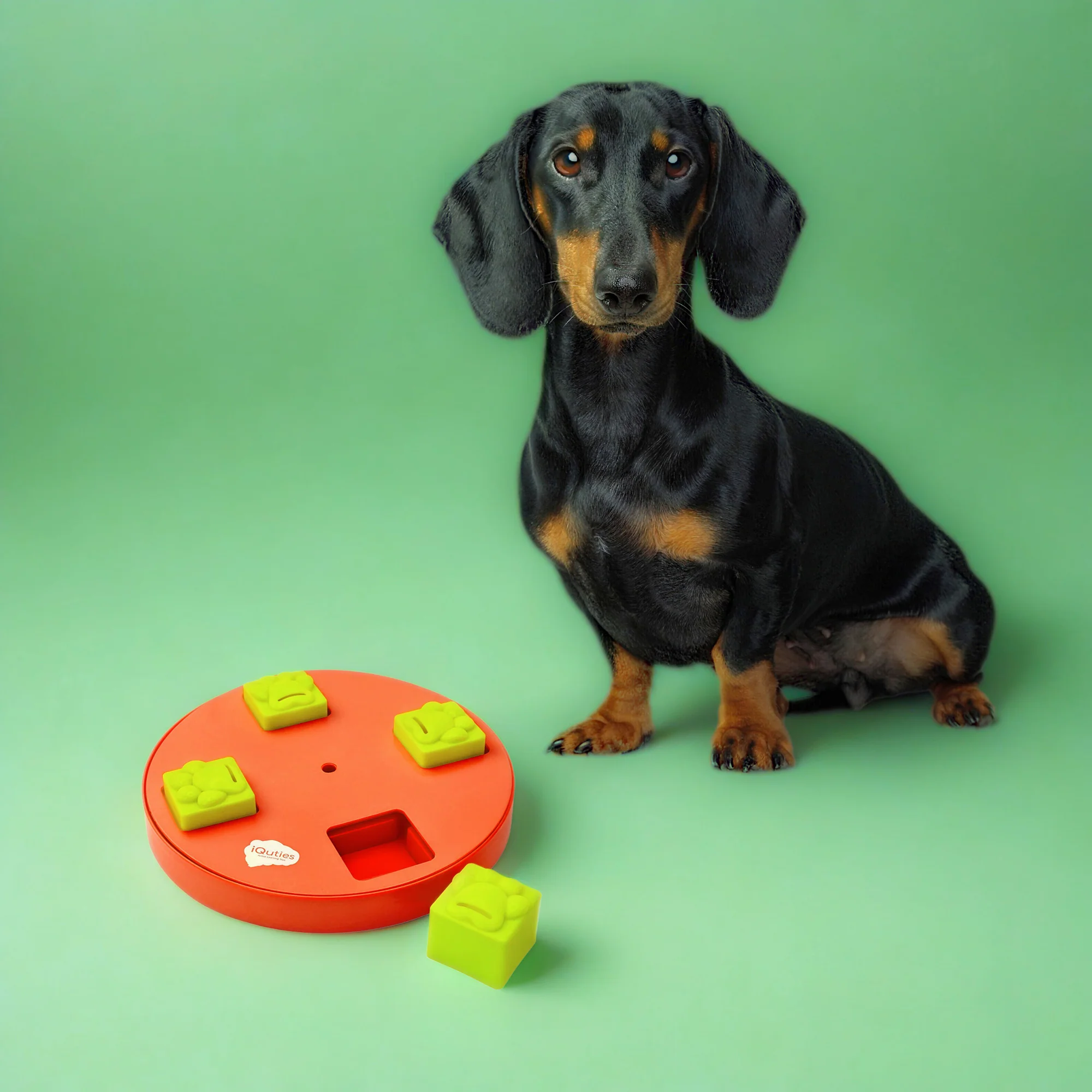 iQuties Wheel Interactive Puzzle Treat Dispenser Dog Toy - Image 6