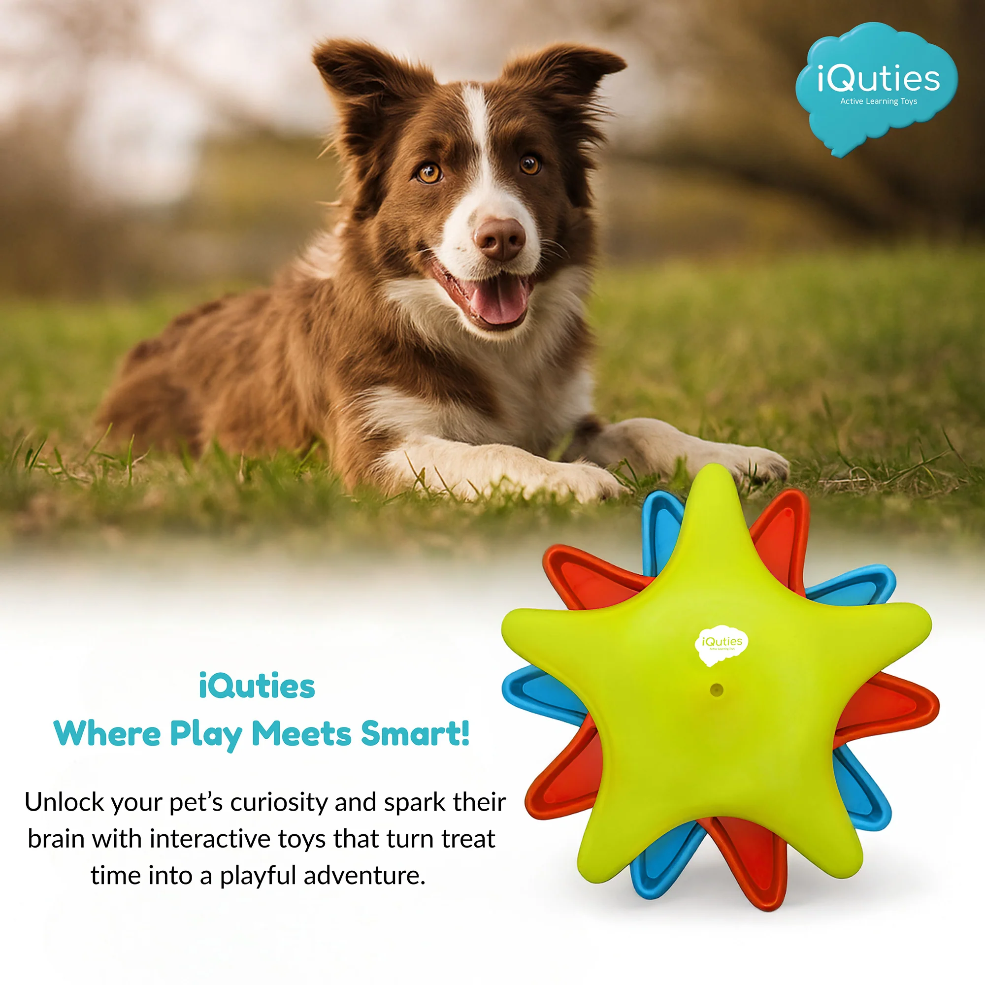 iQuties Twister Interactive Puzzle Treat Dispenser Dog Toy - Image 5
