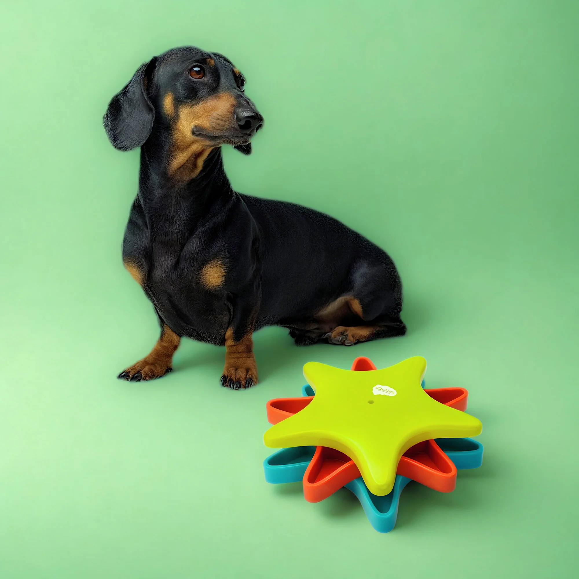 iQuties Twister Interactive Puzzle Treat Dispenser Dog Toy - Image 6