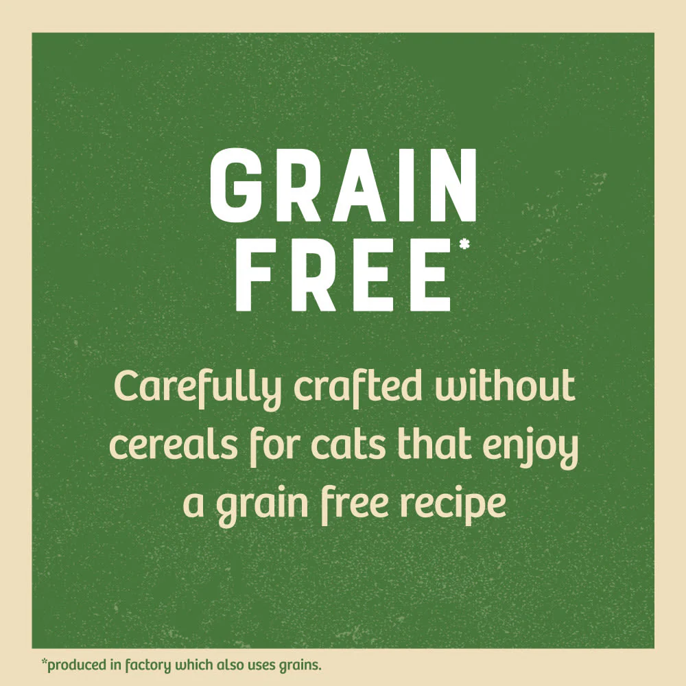 James Wellbeloved Grain Free Adult Cat Food Pouches Chicken in Jelly - Image 4