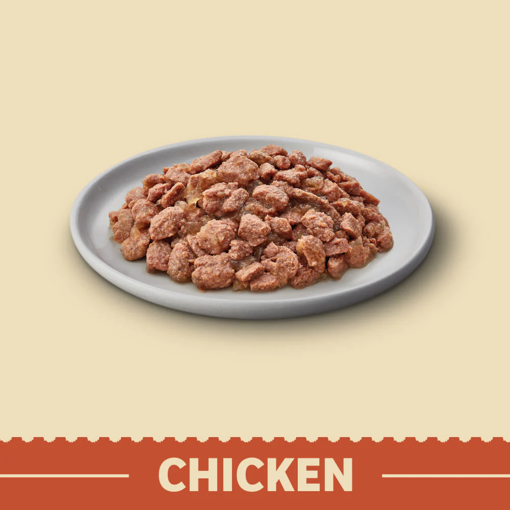James Wellbeloved Grain Free Adult Cat Food Pouches Chicken in Jelly - Image 5