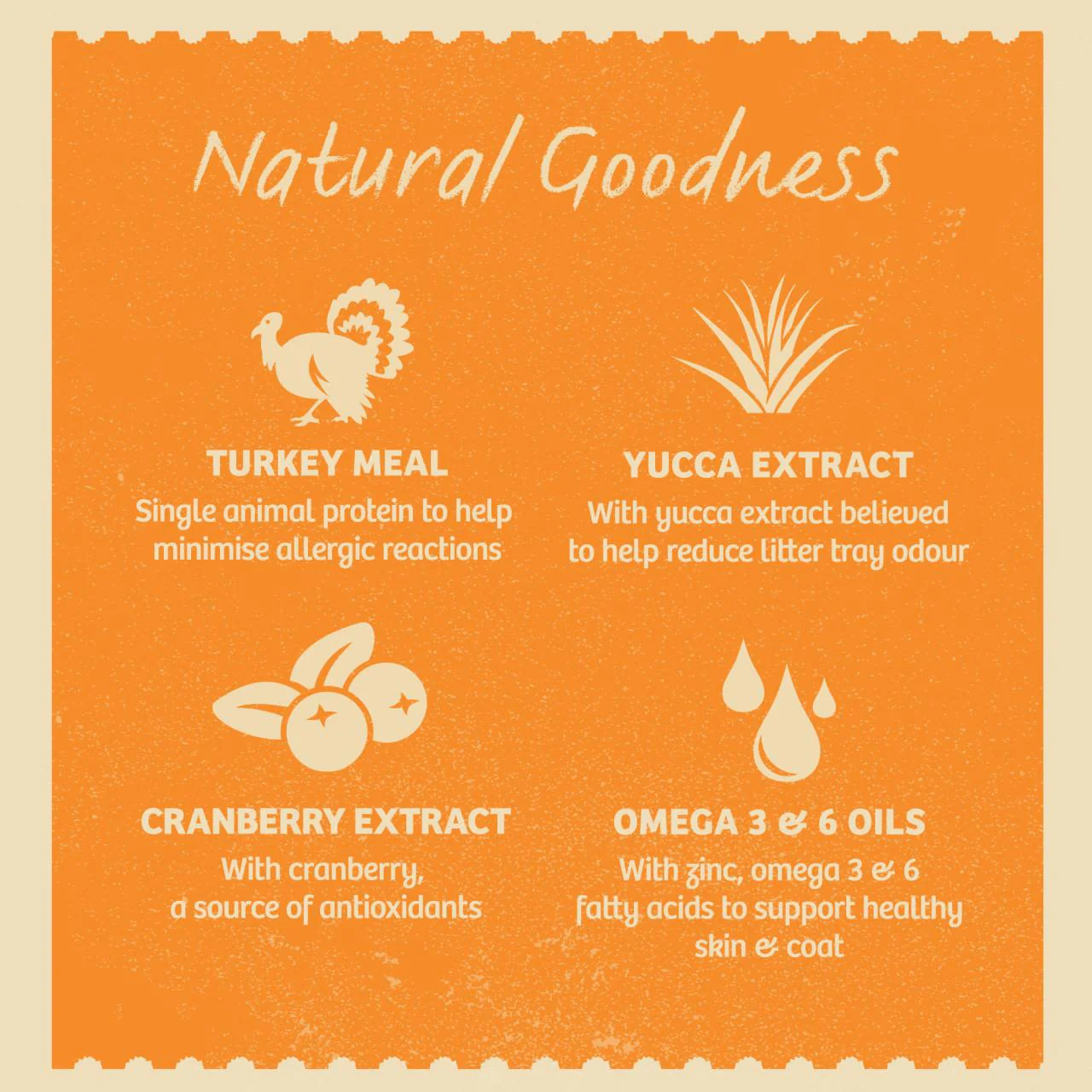 James Wellbeloved Grain Free Adult Cat Food Pouches Turkey in Gravy - Image 8