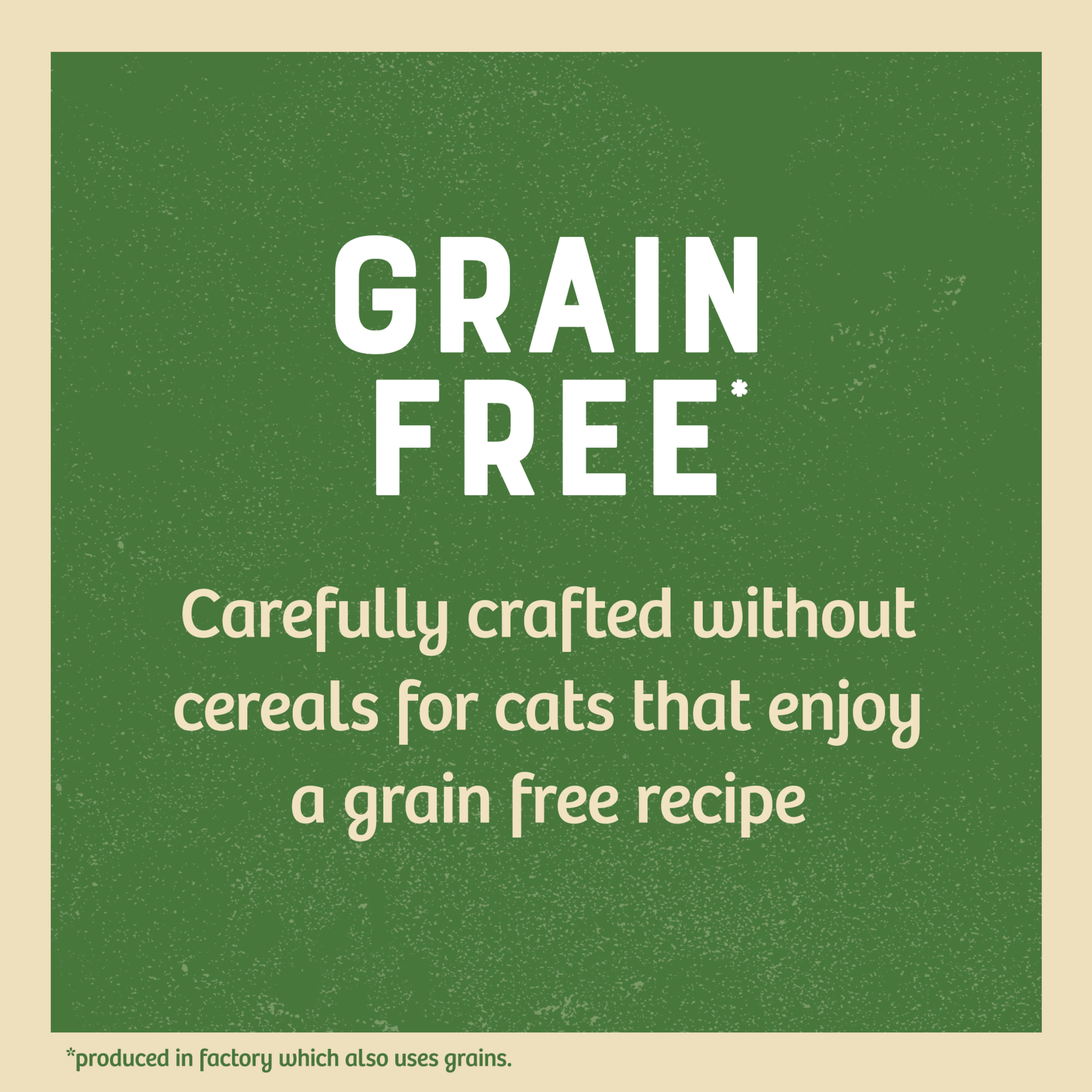 James Wellbeloved Grain Free Kitten Cat Food Pouch Chicken in Jelly - Image 5