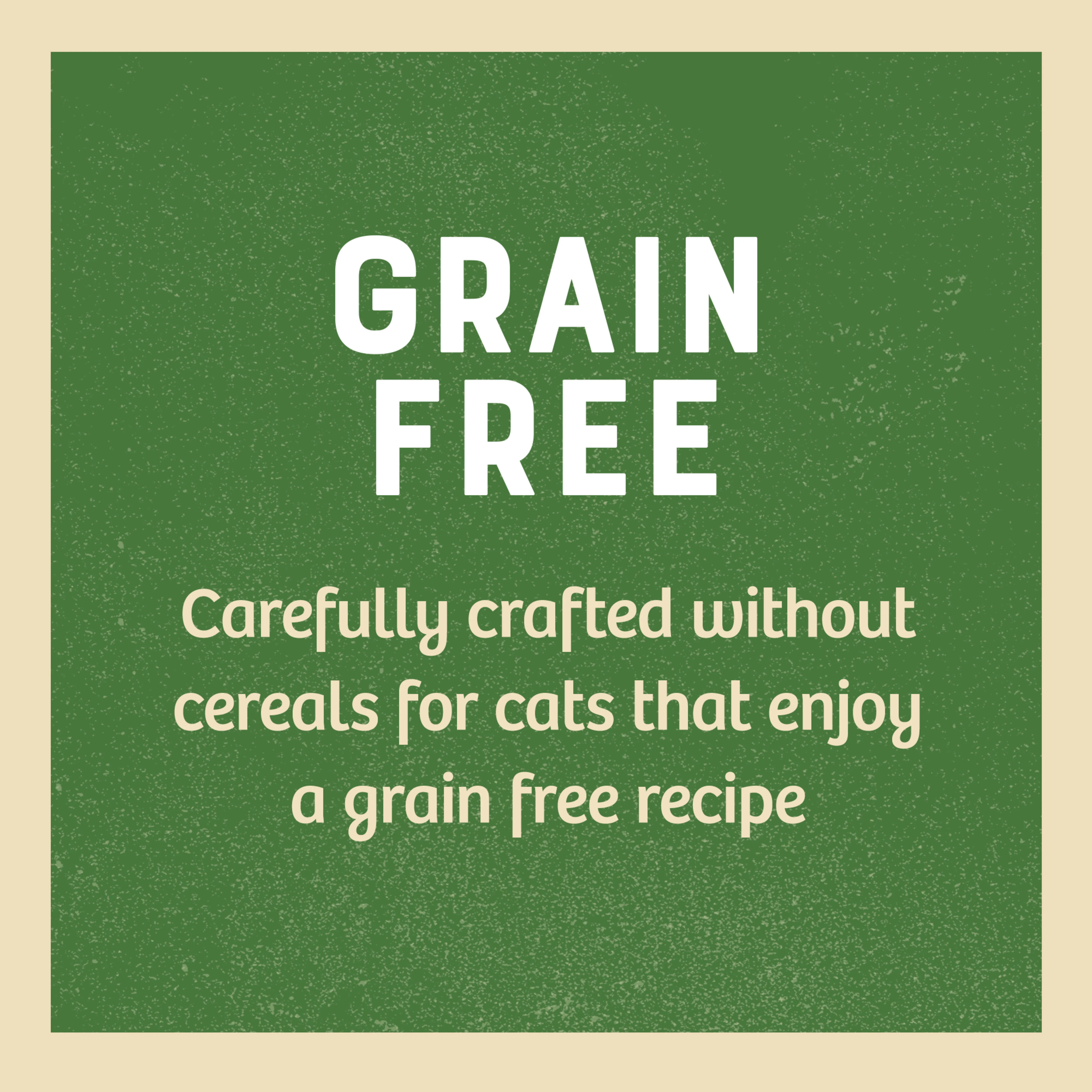 James Wellbeloved Grain Free Senior Cat Food Pouch Chicken in Jelly - Image 5