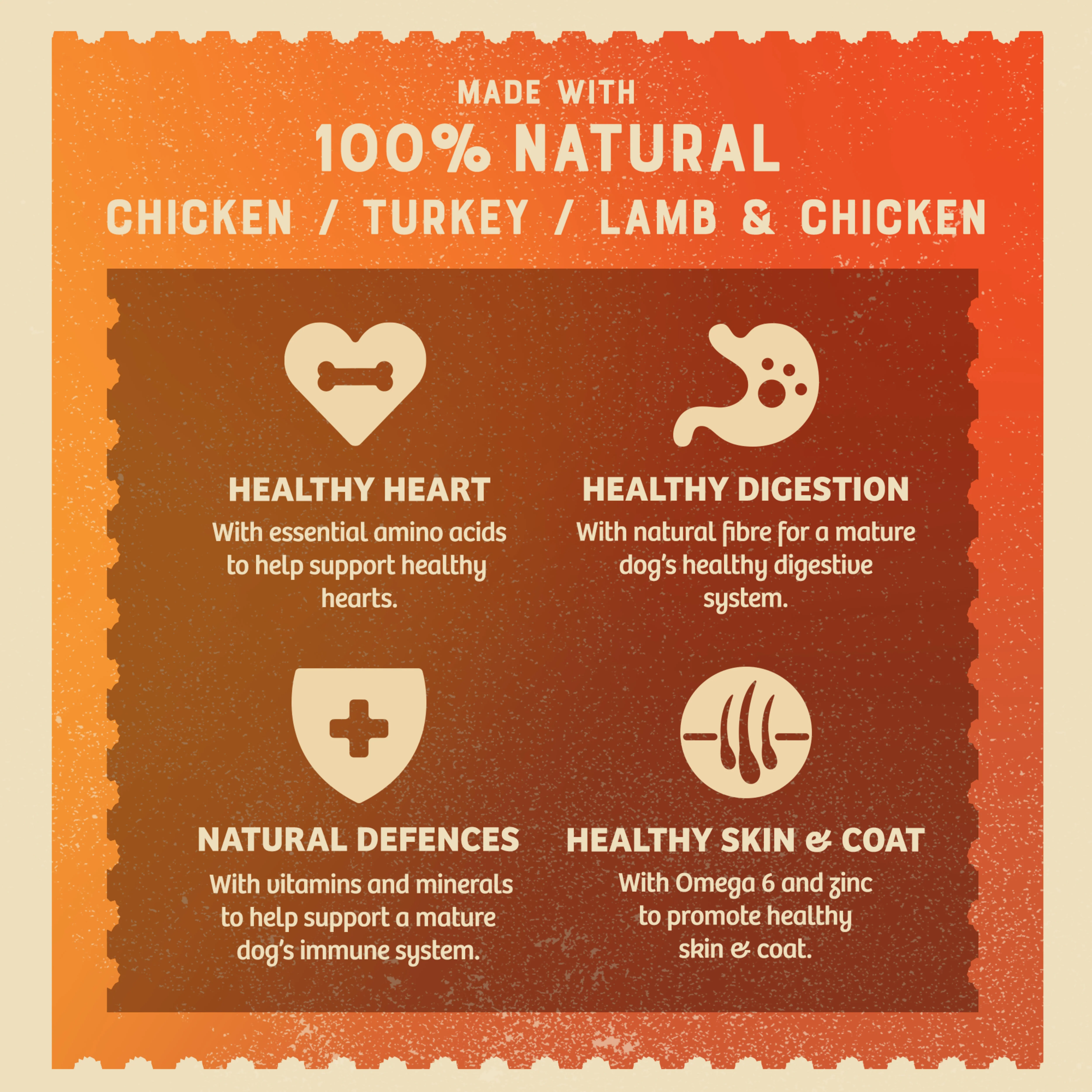 James Wellbeloved Senior Wet Dog Food Turkey, Lamb & Chicken - Image 4