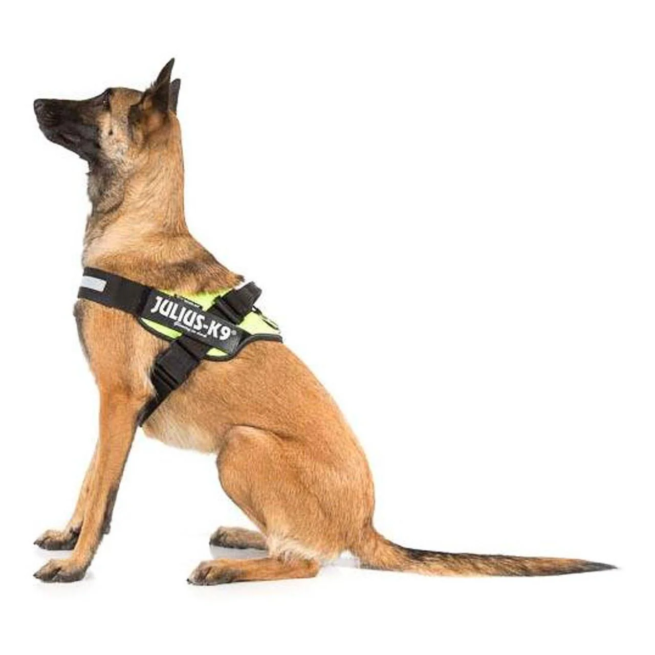 Julius-K9 IDC Neon Yellow Dog Harness - Image 2