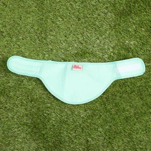 Just Chillin' Cooling Bandana Dog Collar - Image 3