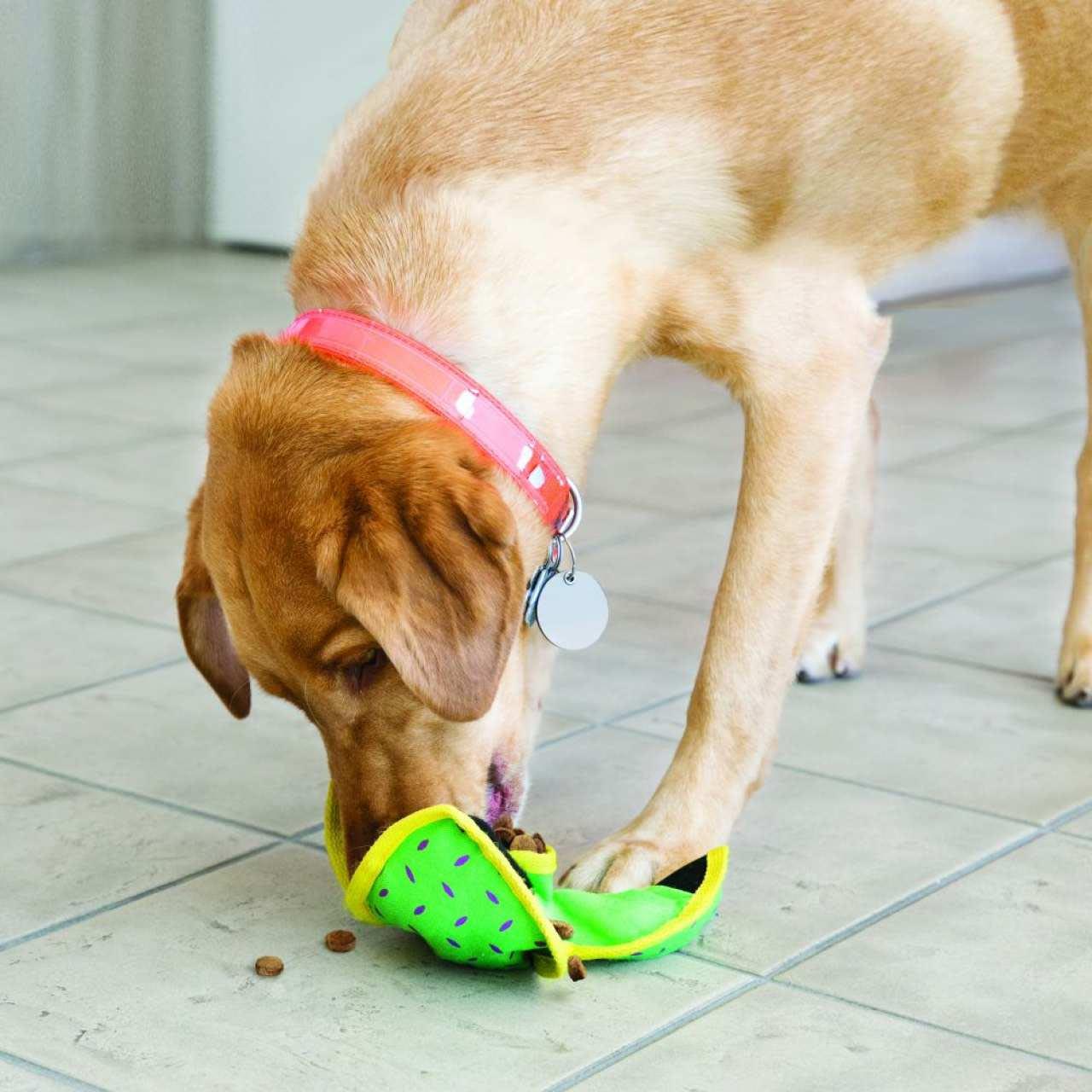 KONG Ballistic Hide 'n Treat Dog Toy - Image 3