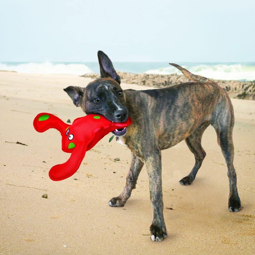 KONG Belly Flops Lobster Red Dog Toy - Image 3