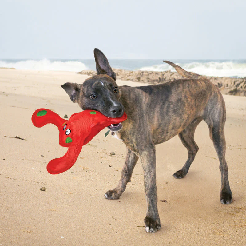 KONG Belly Flops Lobster Red Dog Toy - Image 4