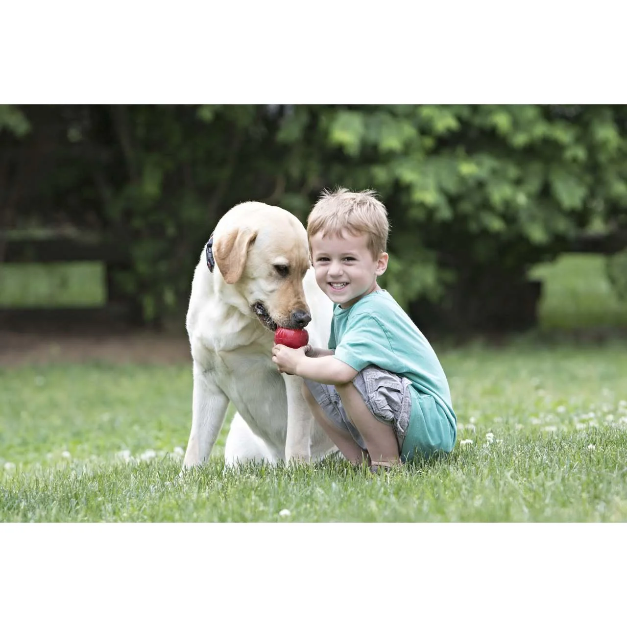 KONG Classic Red Chew Dog Toy - Image 7