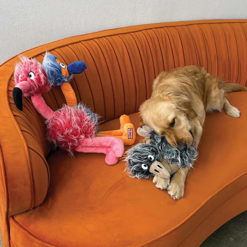 KONG Comfort Jumbo Birds Xlarge Multicolour Dog Toy - Image 4