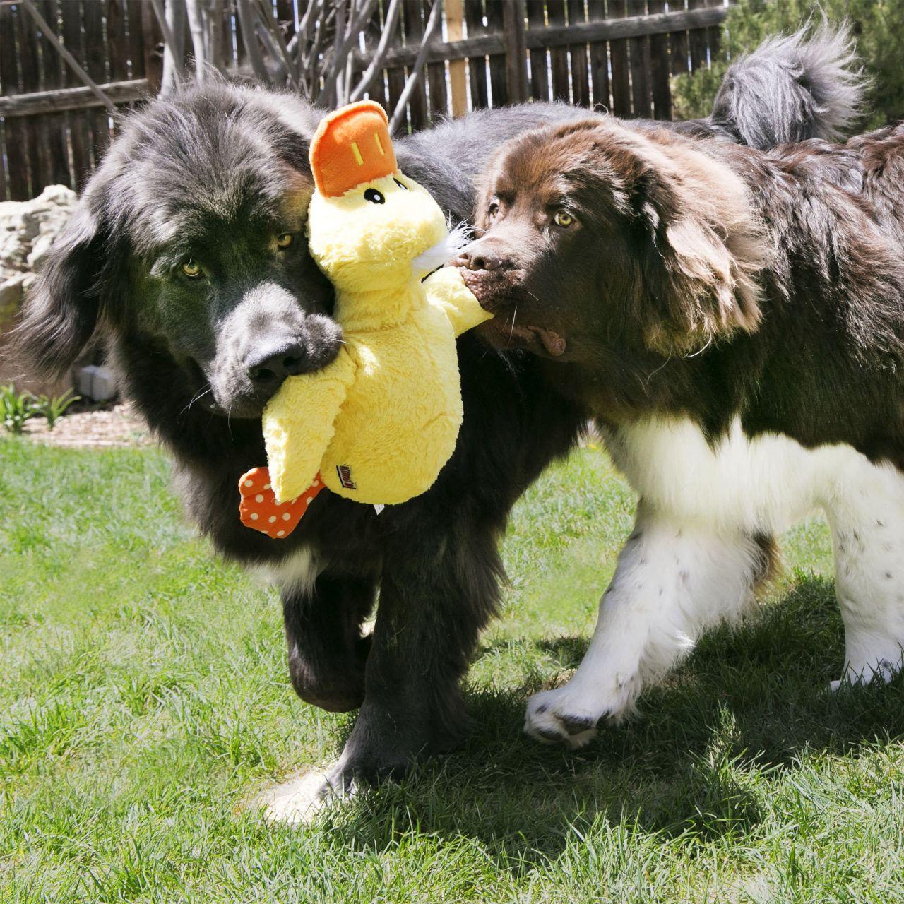KONG Comfort Jumbo Duck - Image 4